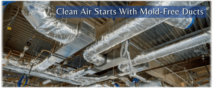 Air Duct Mold Removal in Mansfield TX
