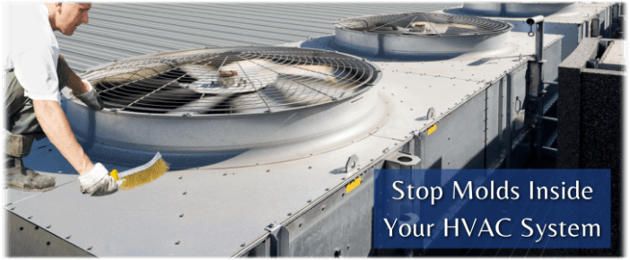 HVAC Mold Removal Mansfield TX